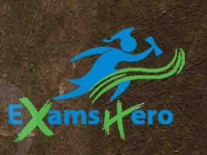 Exam Hero Certification exam dumps 