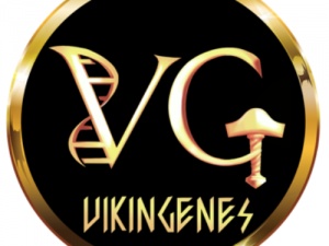 Vikingenes Reviews
