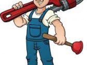 plumbers the woodlands