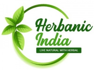 Aswagandha Extract Manufacturer | Herbanic India