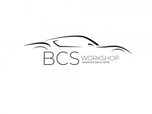 BCS Workshop