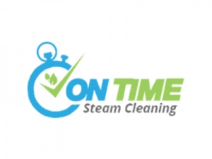 On Time Steam Cleaning