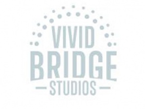VIVID BRIDGE