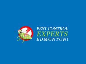 Pest Control Experts