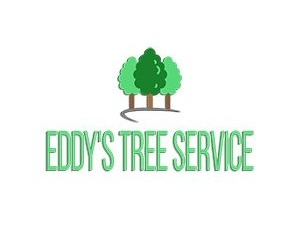 Tree Service Marietta