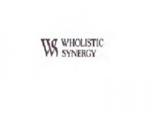 Wholistic Synergy