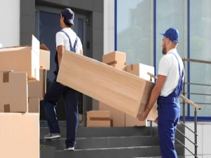 Removalists Clayton