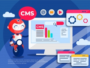 Best CMS Development Services in India and UK