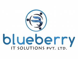 Blueberry IT Solutions | Digital Marketing Agency