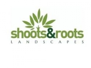 Shootsandrootswales