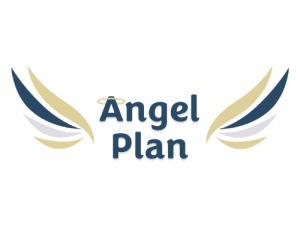 The Angel Plan