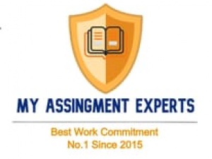 Assignment  help experts