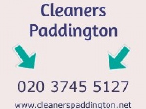 Cleaners Paddington