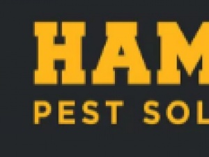 Hamma Pest Solutions