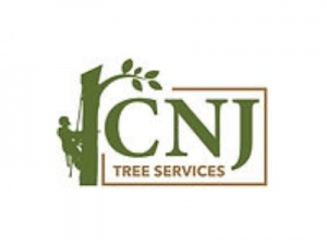 CNJ Tree Services