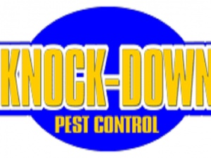 Knockdown Pest Control