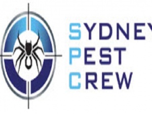 Sydney Pest Crew