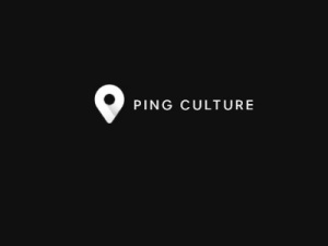 Ping Culture LTD