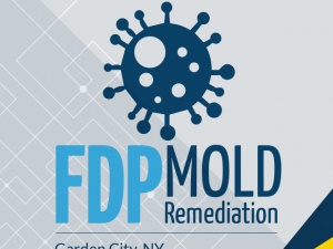 FDP Mold Remediation