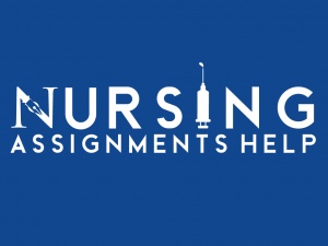 Best Nursing Coursework Writing Service