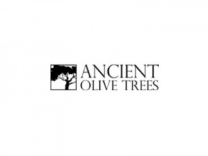 Ancient Olive Trees