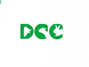 DCC Animal Hospital - Your Trusted Pet Hospital