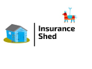 Latest Insurance Industry Updates, Insurance News 