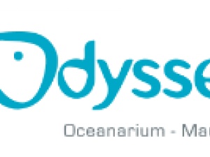 Odysseo