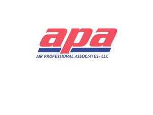 Air Professional Associates LLC