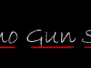 AMMO GUN SHOP SALES