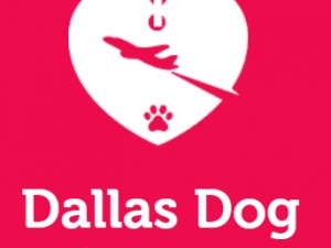 Dallas Dog Daycare