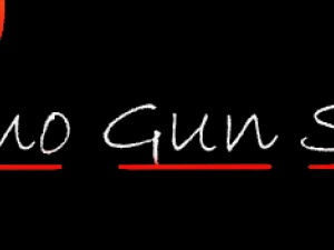 AMMO GUN SHOP SALES