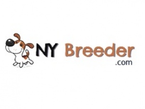 NY Breeder