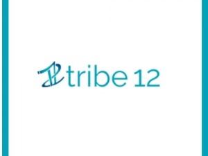 Tribe12org | Best community for best life match