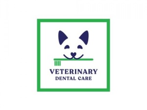 Dog Dental Care and Teeth Cleaning in Mt Pleasant 