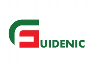 Guidenic