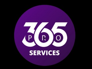 pro services