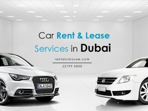 Car rental options in Dubai