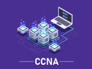 CCNA Course Online - Network Kings
