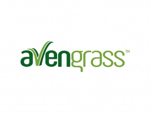 Avengrass