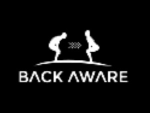 BackAware Belt