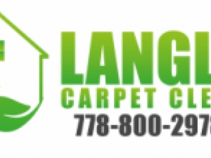 Langley Carpet Cleaner 