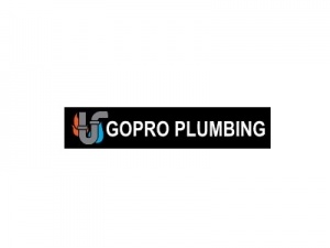 GoPro Plumbing Inc