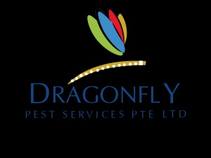  Cockroach Pest Control Services in Singapore | Dr
