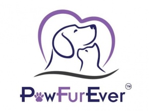 PawFurEver- Dog tags in California