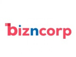 Best LLC Formation Service | BizNCorp.COm