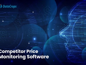 Best Competitor Price Tracking Tool