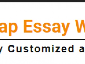 Cheap Essay Writing Services