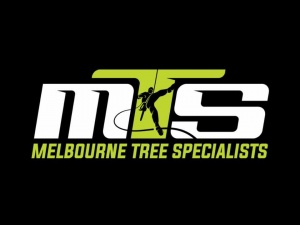 Melbourne Tree Specialists