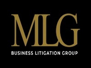  MLG Business Litigation Group